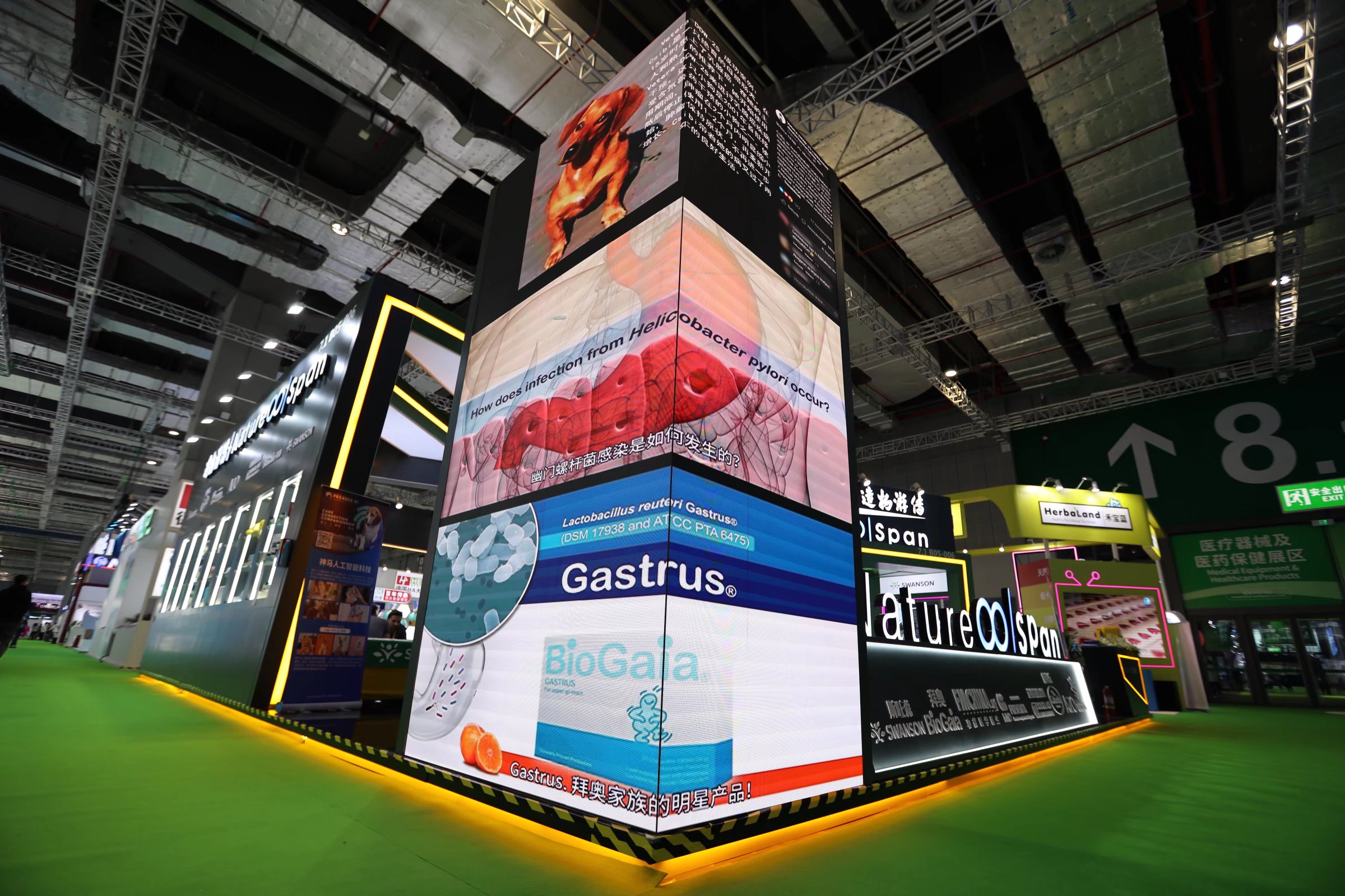 expo