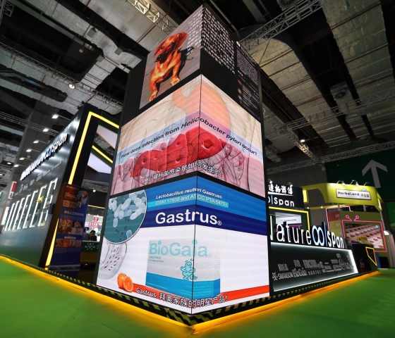 expo